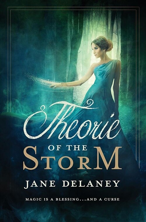 Theorie of the Storm (Paperback)