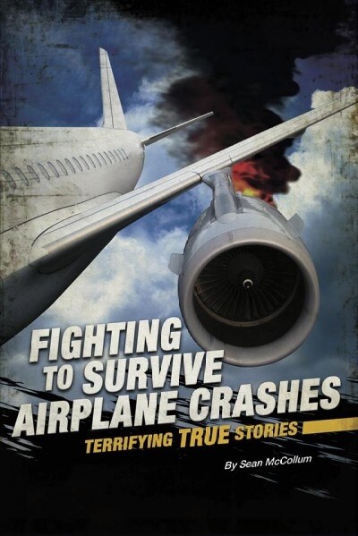 Fighting to Survive Airplane Crashes: Terrifying True Stories (Paperback)