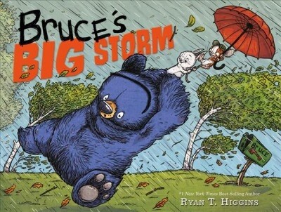 [중고] Bruce‘s Big Storm (Hardcover)