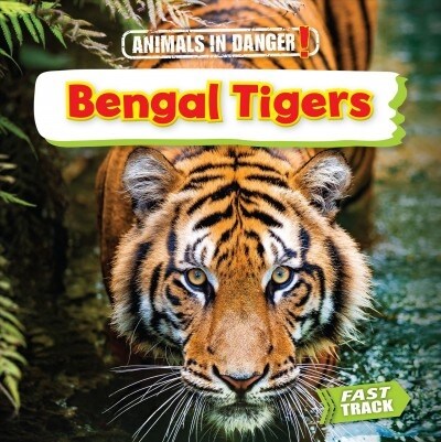 Bengal Tigers (Library Binding)