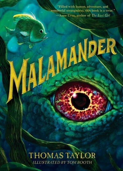 Malamander (Hardcover)