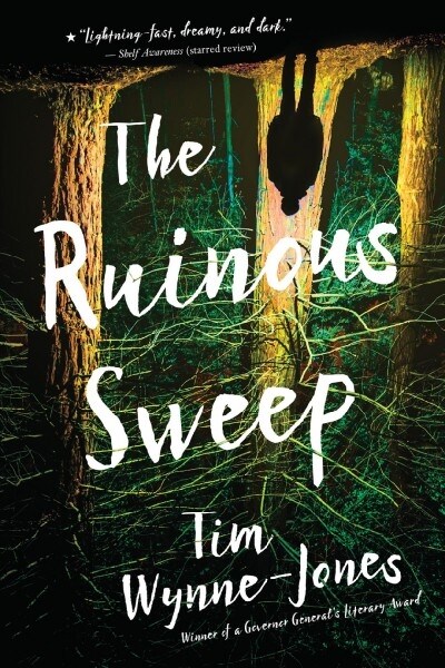 The Ruinous Sweep (Paperback)