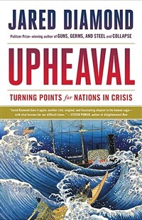 Upheaval :turning points for nations in crisis 