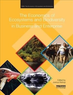 The Economics of Ecosystems and Biodiversity in Business and Enterprise (Paperback)
