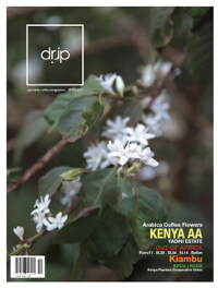 드립 Drip Specialty Coffee Magazine 2019 Vol.9