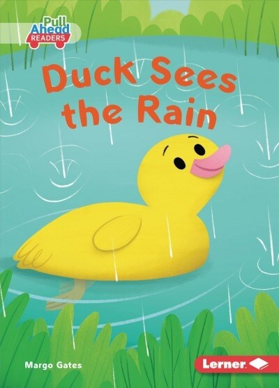 Duck Sees the Rain (Paperback)