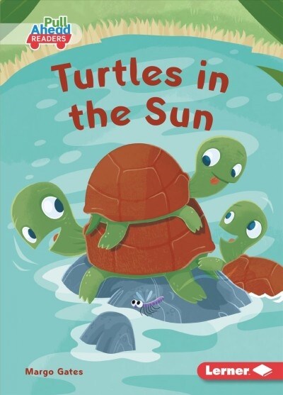 Turtles in the Sun (Paperback)