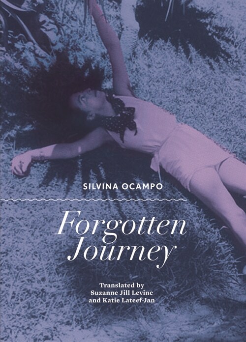 Forgotten Journey (Paperback)