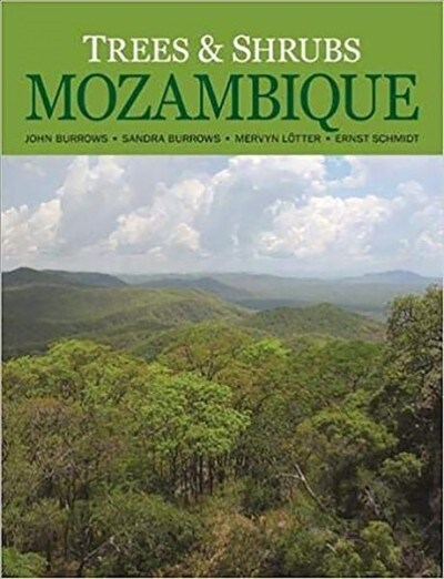 Trees and Shrubs of Mozambique (Hardcover)