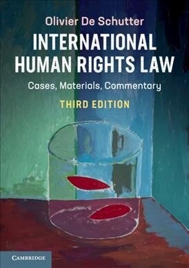 [중고] International Human Rights Law (Paperback, 3 Revised edition)