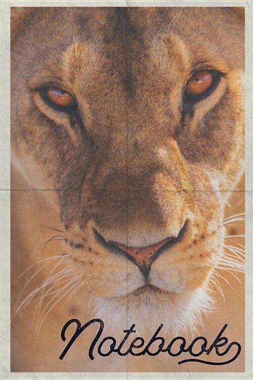 Notebook: Lioness Practical Composition Book Journal Diary for Men, Women, Teen & Kids Vintage Retro Design Tanzania Safari Vaca (Paperback)