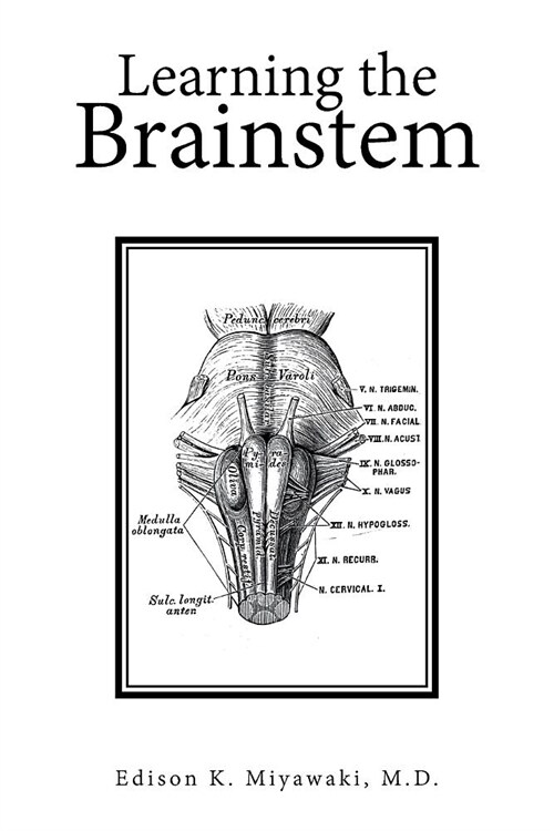 Learning the Brainstem (Paperback)
