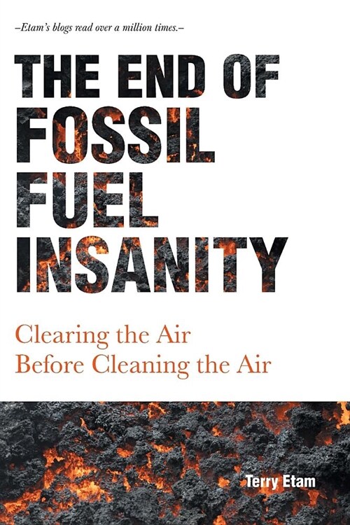 The End of Fossil Fuel Insanity: Clearing the Air Before Cleaning the Air (Paperback)