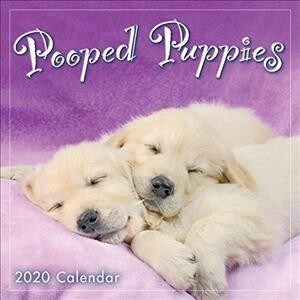 2020 Pooped Puppies Mini Calendar: By Sellers Publishing (Other)