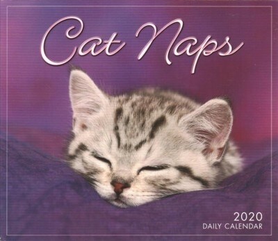 2020 Cat Naps Boxed Daily Calendar: By Sellers Publishing (Other)