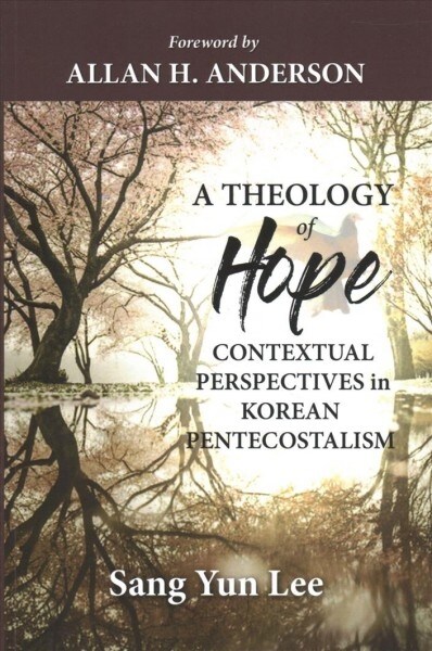 A Theology of Hope (Paperback)