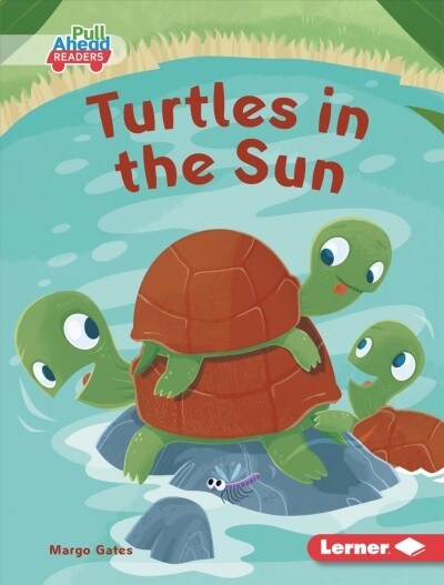 Turtles in the Sun (Library Binding)