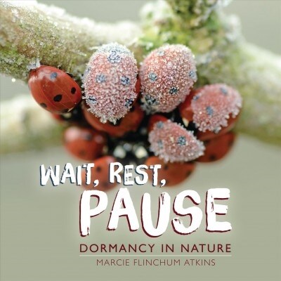 Wait, Rest, Pause: Dormancy in Nature (Library Binding)