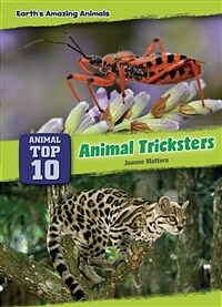 Animal tricksters