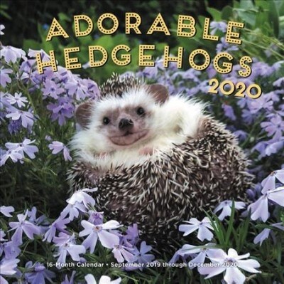 Adorable Hedgehogs 2020: 16-Month Calendar - September 2019 Through December 2020 (Other)