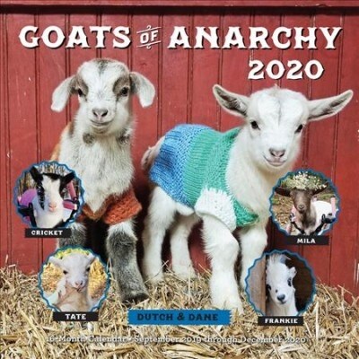 Goats of Anarchy 2020: 16 Month Calendar September 2019 Through December 2020 (Other)