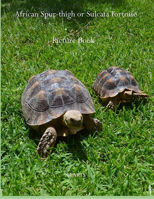 African Spur-Thigh or Sulcata Tortoise Picture Book (Paperback)