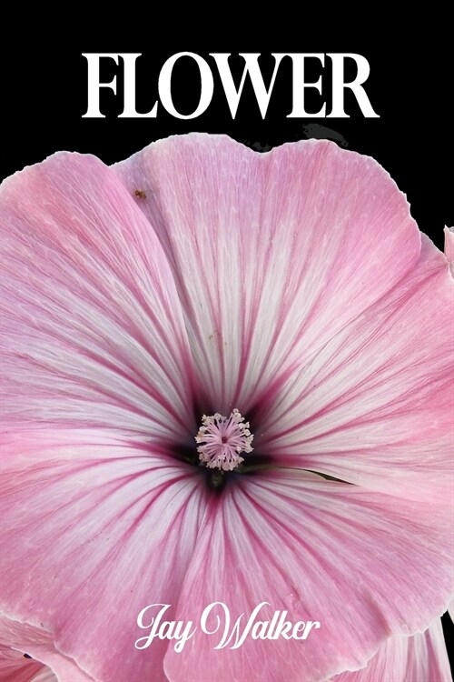 Flower (Paperback)