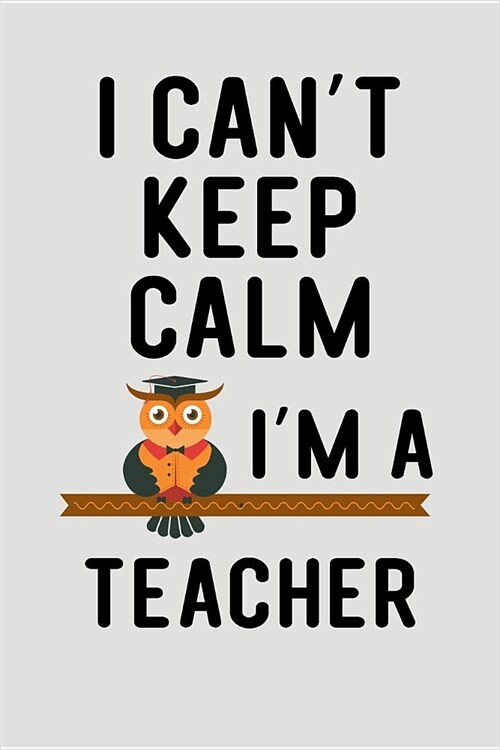 I Cant Keep Calm Im a Teacher: Blank Lined Journal to Write in Teacher Notebook V2 (Paperback)