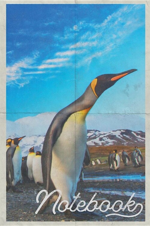 Notebook: Emperor Penguin Colorful Composition Book Journal Diary for Men, Women, Teen & Kids Vintage Retro Design Antartica Cru (Paperback)