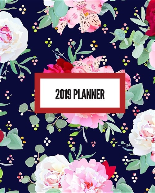 2019 Planner: Weekly & Monthly Calendar Schedule Organizer Inspirational Quotes, Notes & Check Listjanuary2019 Through to December 2 (Paperback)