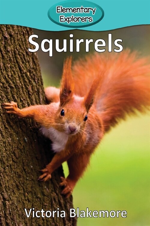 Squirrels (Paperback)