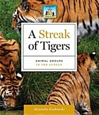 A Streak of Tigers: Animal Groups in the Jungle (Library Binding)