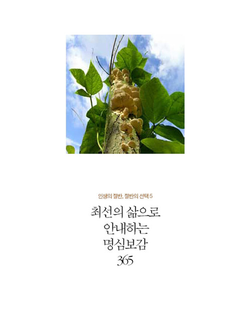 인생의 절반, 절반의 선택 5 - 최선의 삶으로 안내하는 명심보감 365 커버