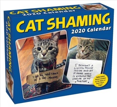 Cat Shaming 2020 Day-To-Day Calendar (Daily)