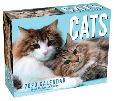 Cats 2020 Mini Day-To-Day Calendar (Daily)