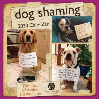 Dog Shaming 2020 Wall Calendar (Wall)