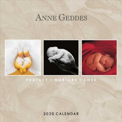 Anne Geddes: Protect Nurture Love 2020 Wall Calendar (Wall)