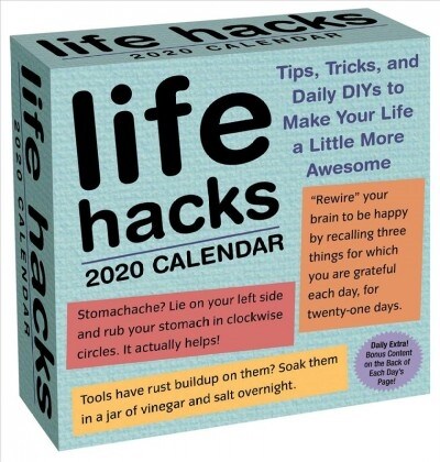 Life Hacks 2020 Day-To-Day Calendar (Daily)