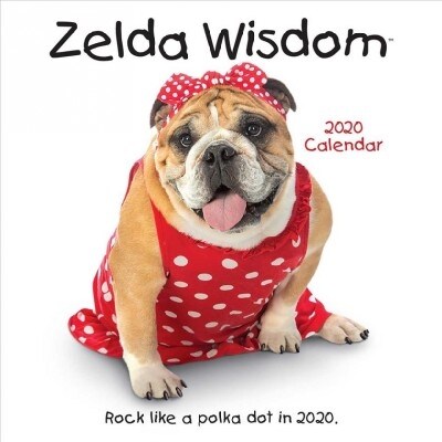 Zelda Wisdom 2020 Wall Calendar (Wall)