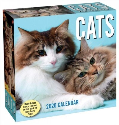 Cats 2020 Day-To-Day Calendar (Daily)