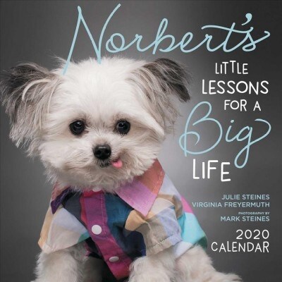 Norberts Little Lessons for a Big Life 2020 Wall Calendar (Wall)