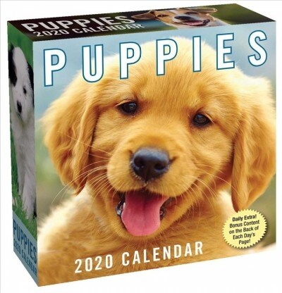 Puppies 2020 Day-To-Day Calendar (Daily)