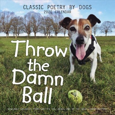 Throw the Damn Ball 2020 Wall Calendar (Wall)