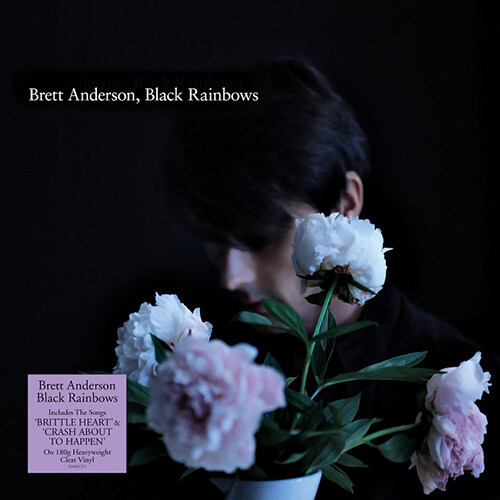 [수입] Brett Anderson - Black Rainbows [180g 오디오파일 LP] [Limited 투명 Color Vinyl]