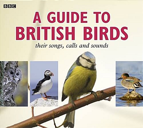 A Guide to British Birds : Their Songs, Calls and Sounds (CD-Audio, A&M)