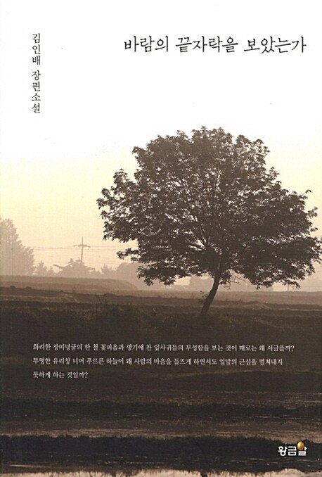 바람의 끝자락을 보았는가