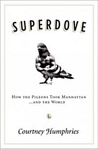 Superdove: How the Pigeon Took Manhattan ... and the World (Hardcover)