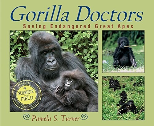 Gorilla Doctors: Saving Endangered Great Apes (Paperback)