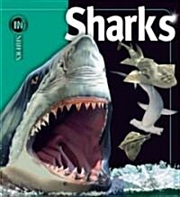 Sharks (Hardcover)