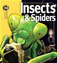 Insects & Spiders (Hardcover)